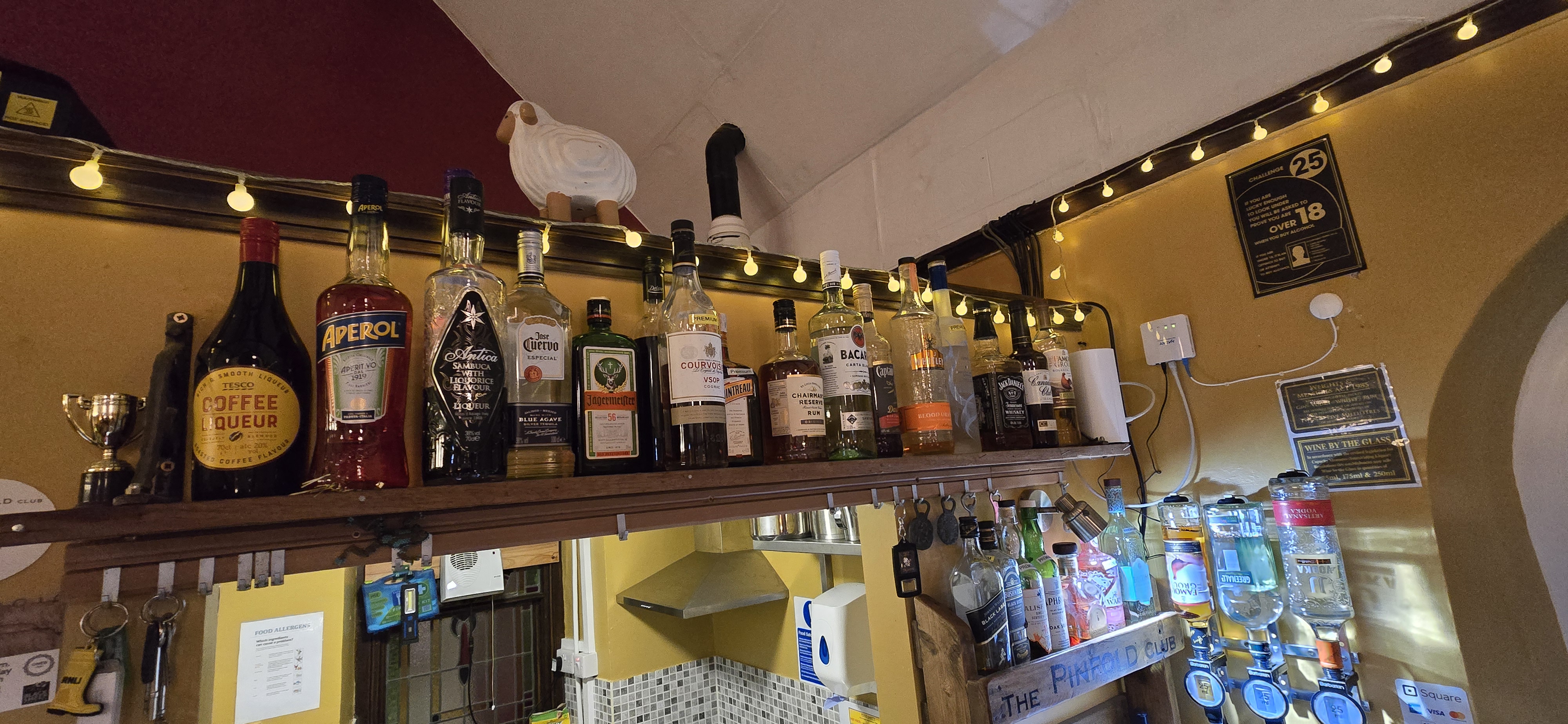 Pinfold interior view 12